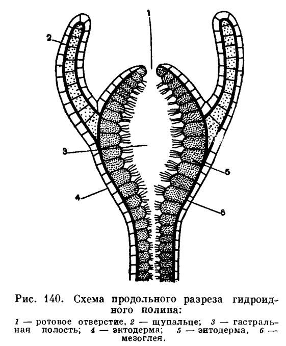 Кракен перейти